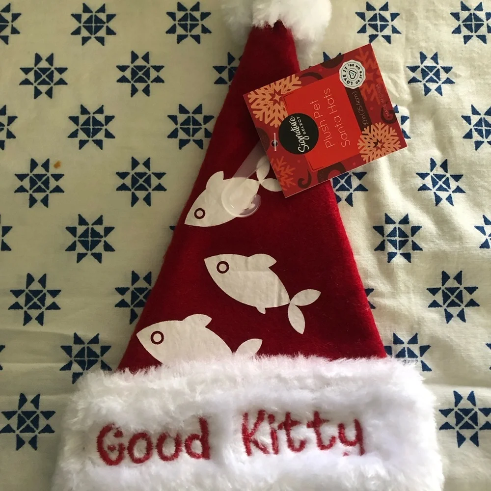 Santa Christmas cat for cat
